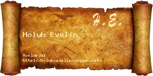 Holub Evelin névjegykártya
